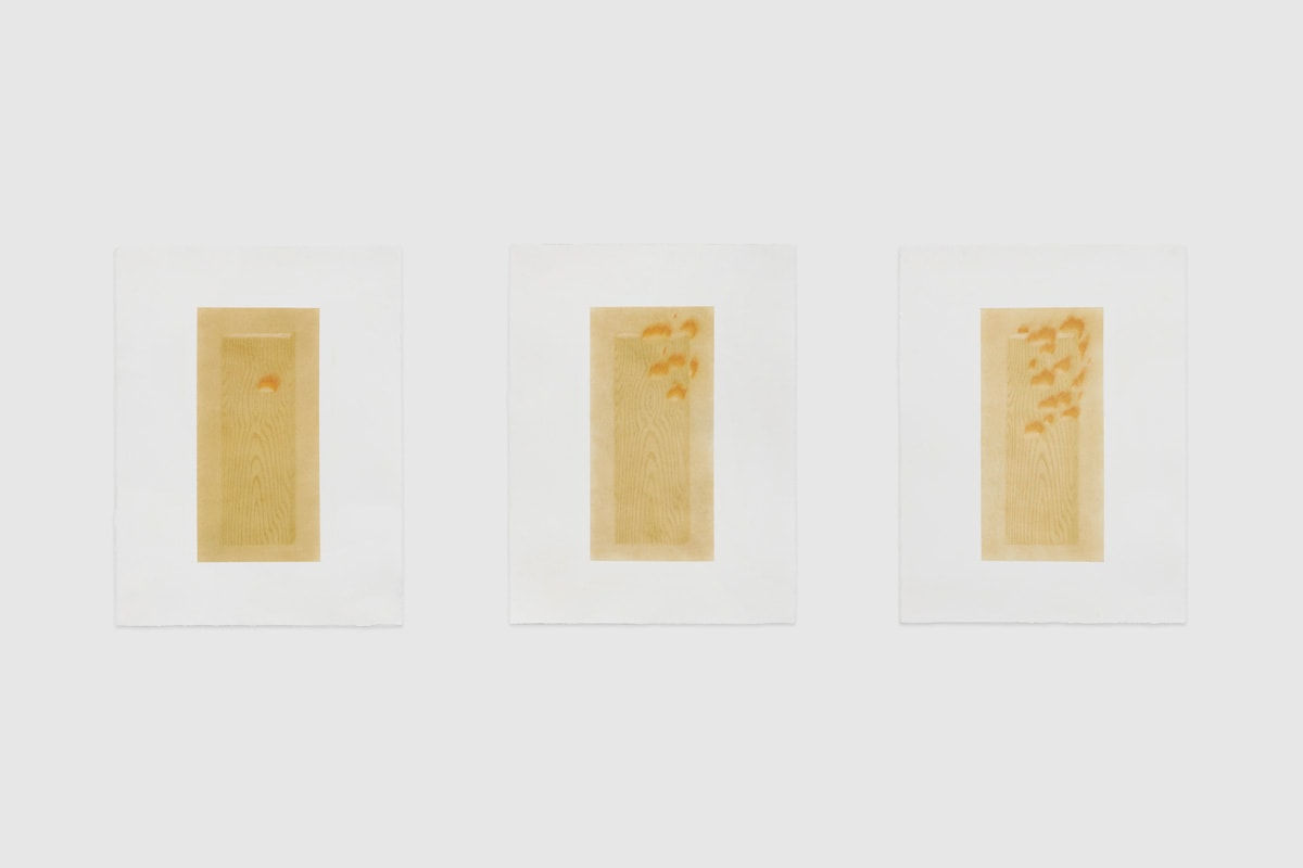 Johnny Izatt-Lowry, A Plank of Wood (On Fire) Parts I, II, III, 2020