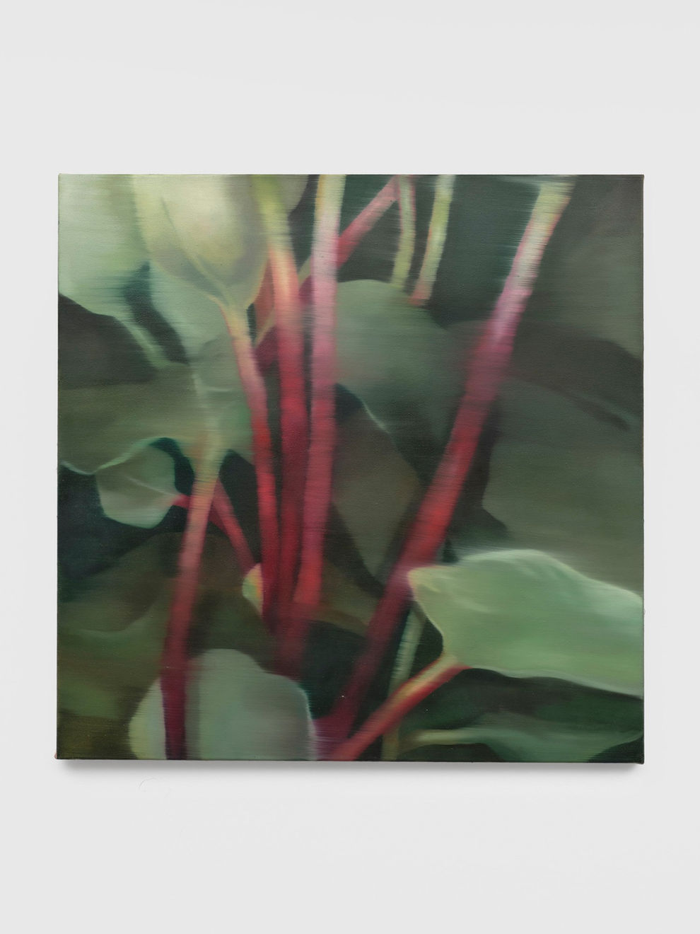 Johanna Bath, Rhubarb, 2023