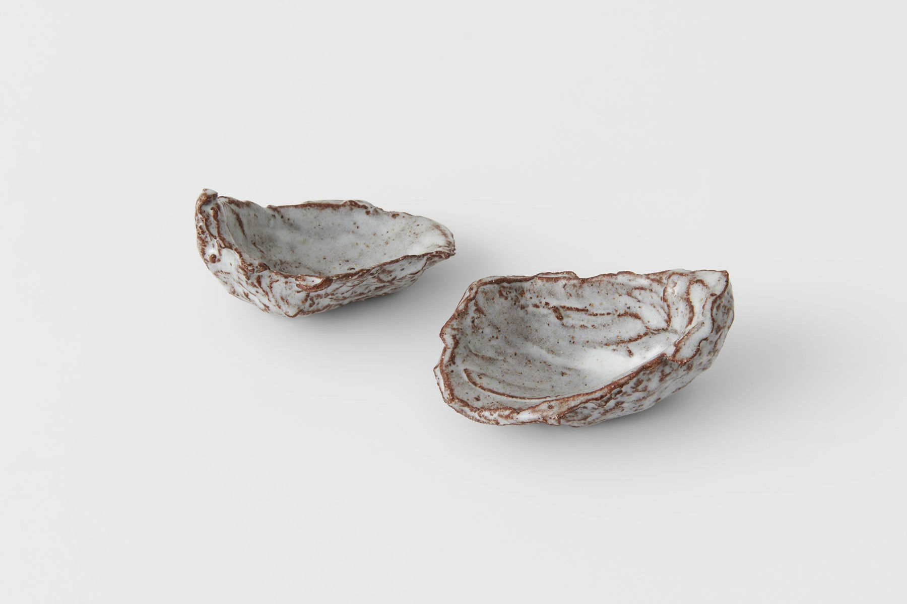 Joe Sweeney, The World's Your Shell, 2023