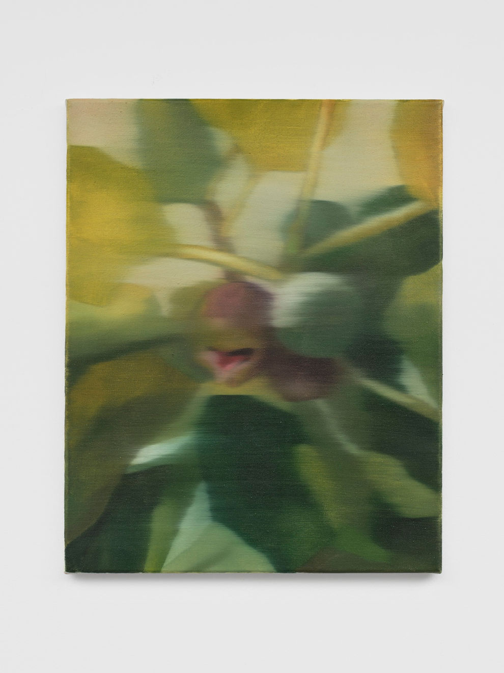 Johanna Bath, Summer Fig, 2023