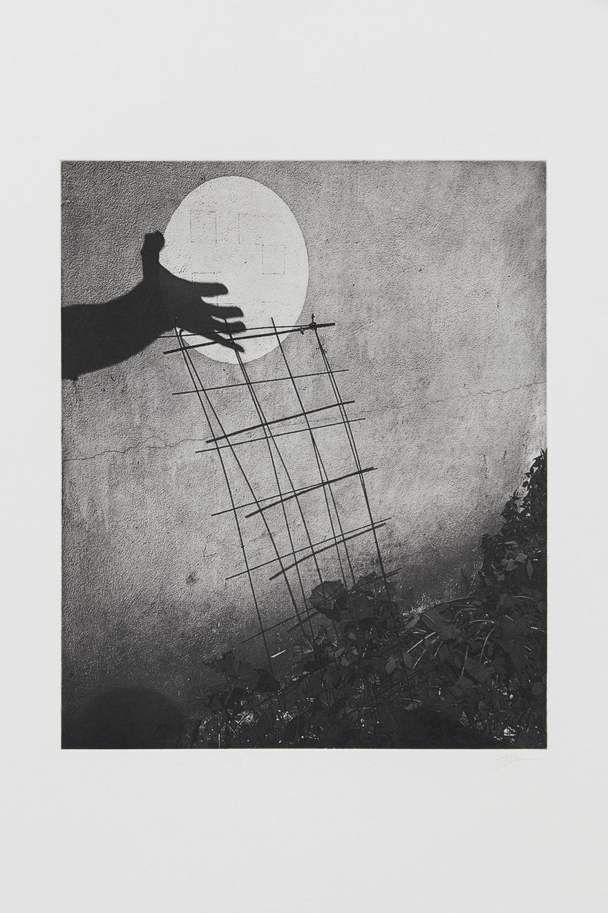 Jack Davison, Untitled, 2022