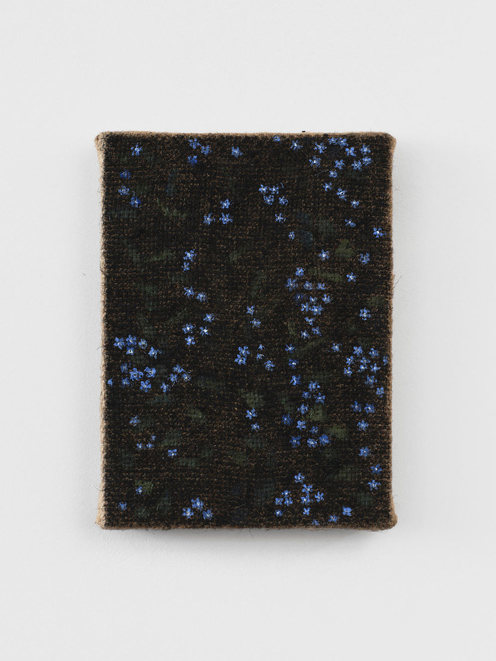 Katelyn Eichwald, Wandering Eye, 2024