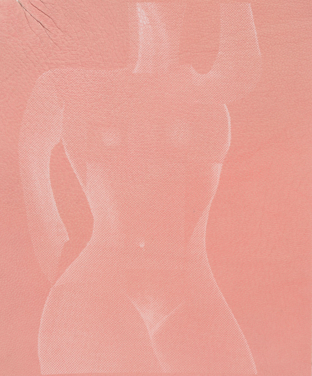 Alba Hodsoll, Ideal Woman III, 2014