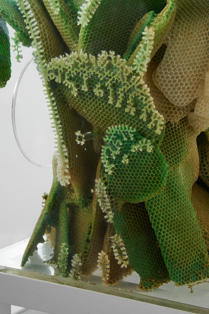 Ren Ri, Yuansu Chain Series I, RG-1, 2014 - 2015