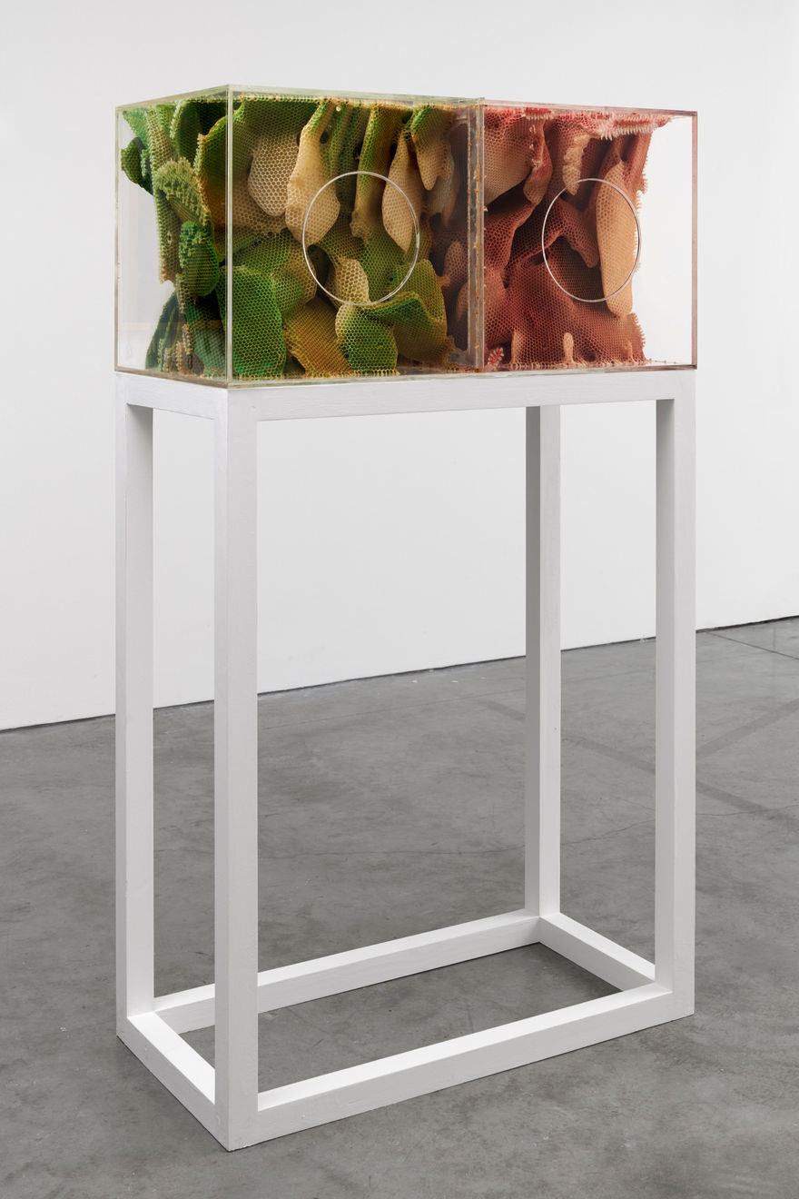 Ren Ri, Yuansu Chain Series I, RG-1, 2014 - 2015