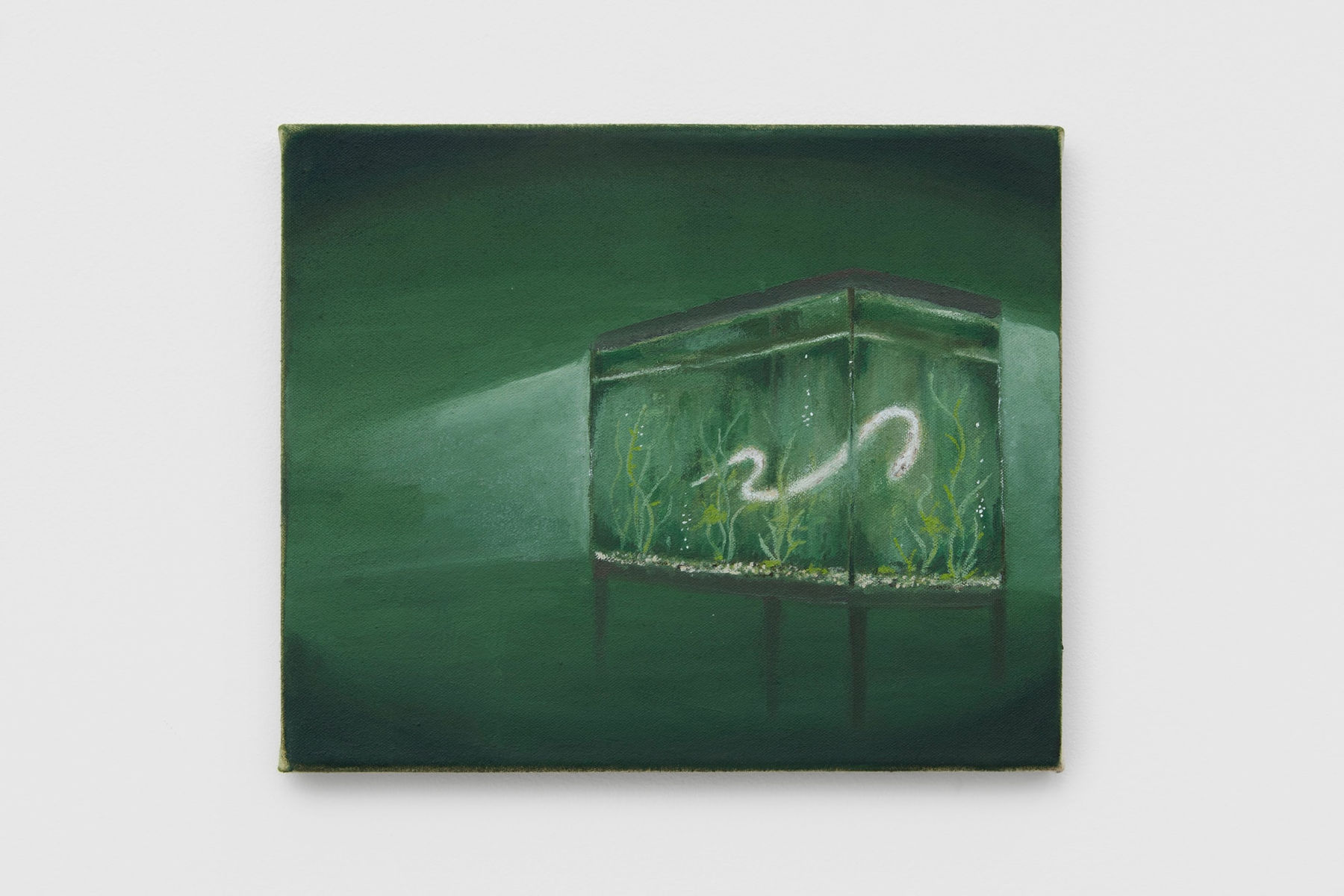 TJ Rinoski, Wrong Room, 2022