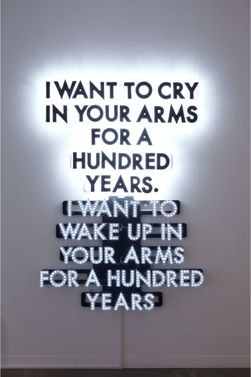 Robert Montgomery, A hundred years, 2014