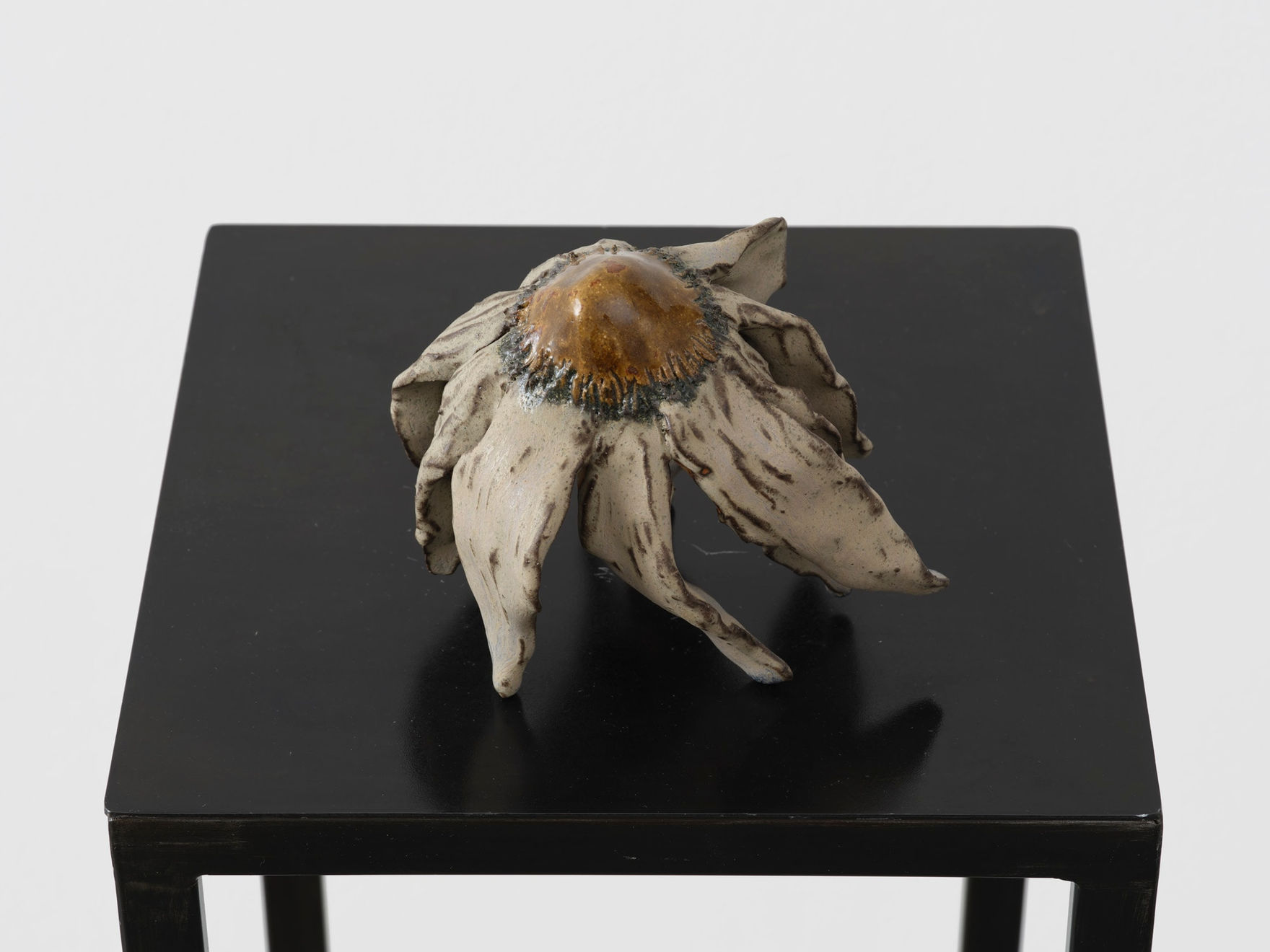 Diane Chappalley, Anxious Flowers IV, 2023