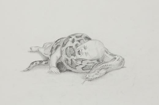 Neil Goldberg, Wild Animals Eat My Family and Me (Python and John), 2015