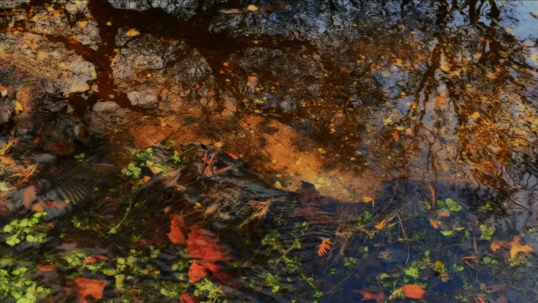 peter campus, far so far, 2025