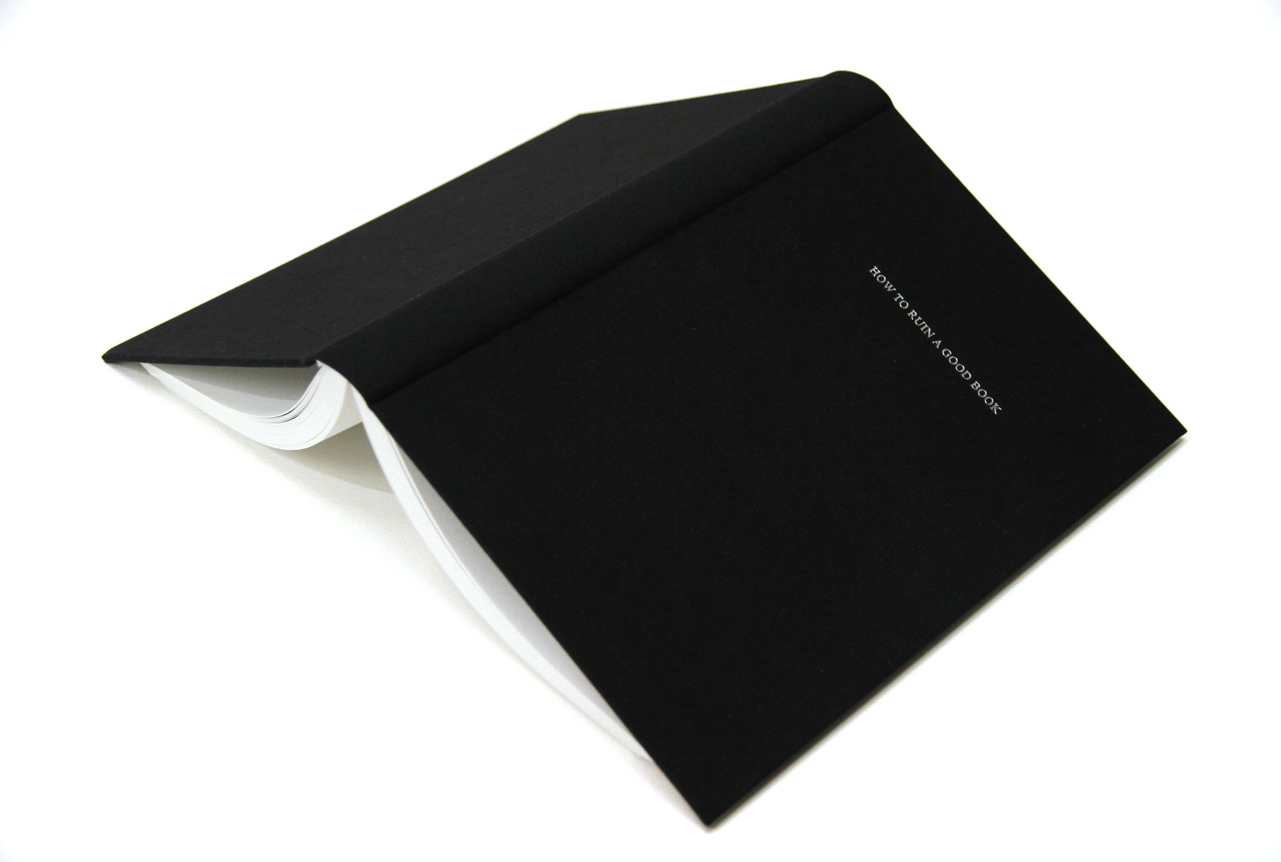 John Wood and Paul Harrison, How to Ruin a Good Book, 2017