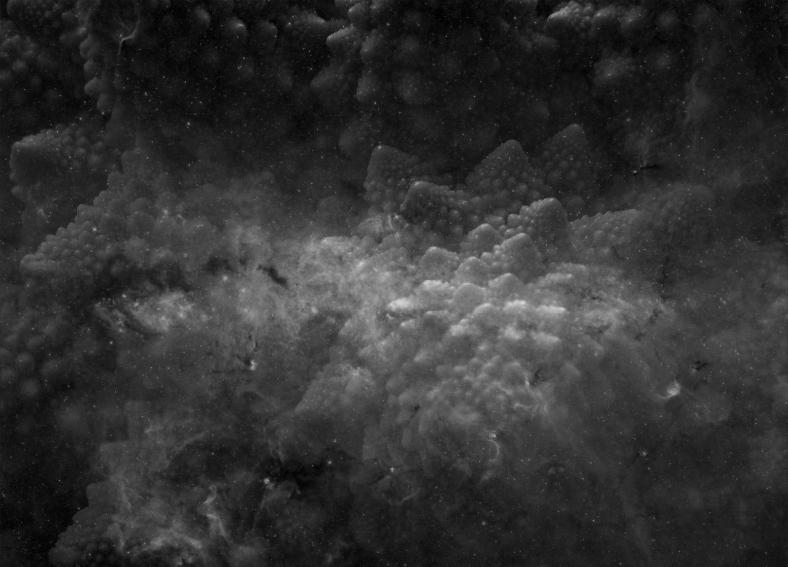 François Bucher, Que muera conmigo el misterio que está escrito en los tigres, 2016