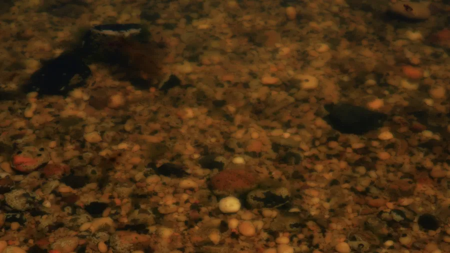 peter campus, there somewhere, 2023