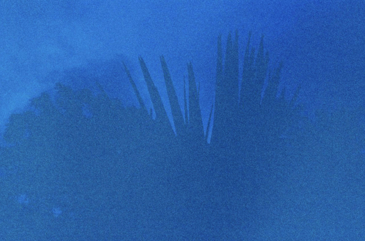 Nuits Balnéaires, Minuit, 2025