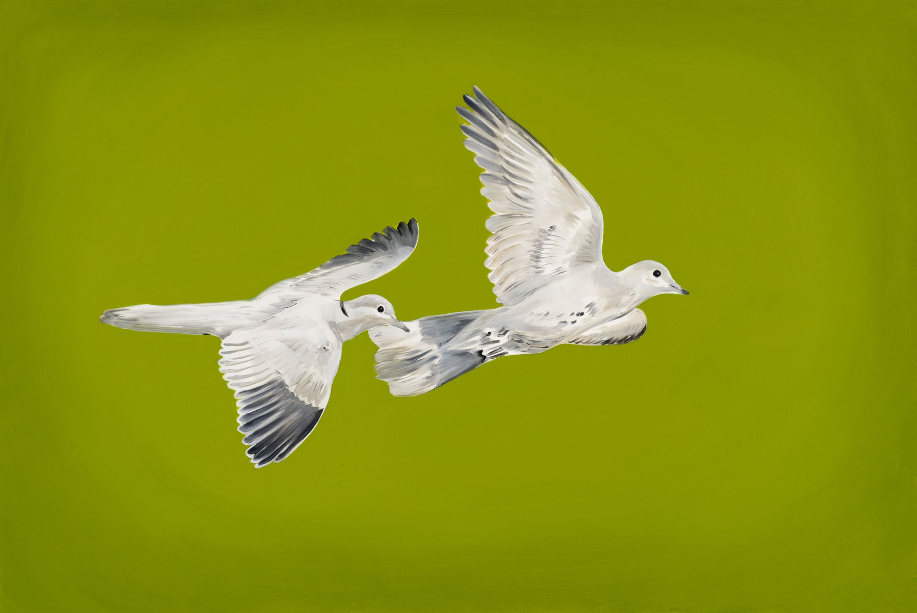 Mahsa Tehrani, “Two pigeons” from the “The hunting ground” series, 2022