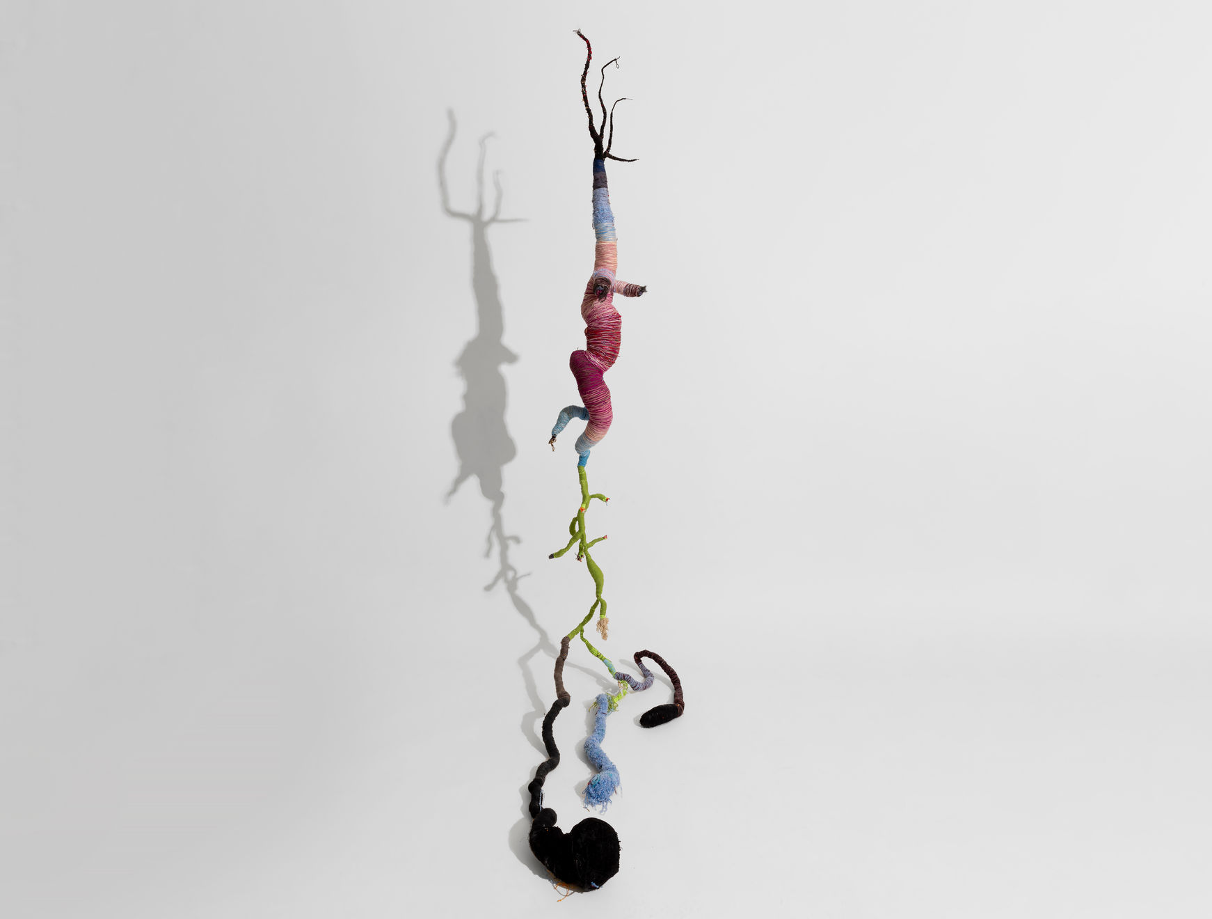 Bita Fayyazi, Beautiful Creatures, 2023