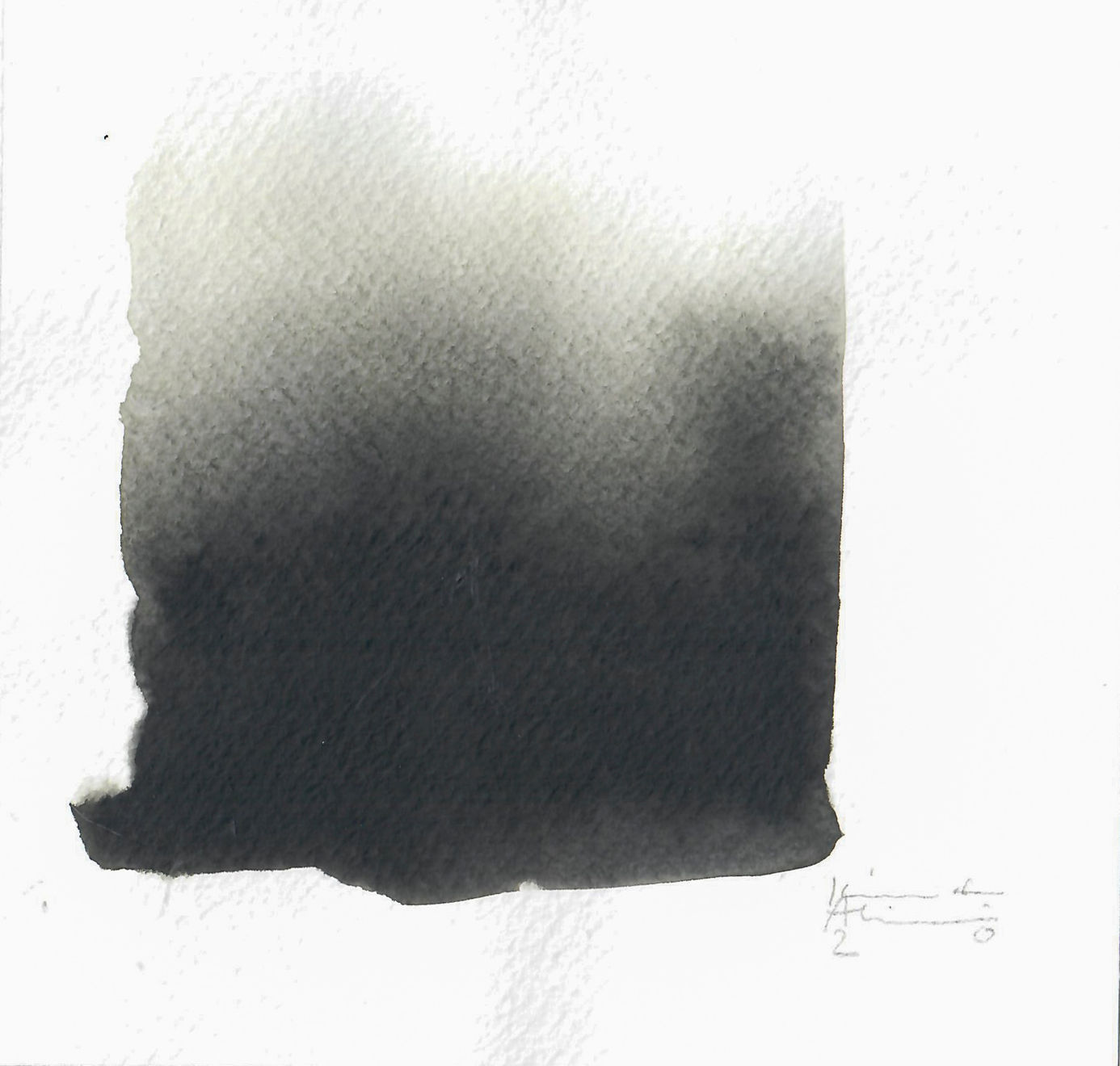 Kiarash Alimi, Color Swatch, 2020