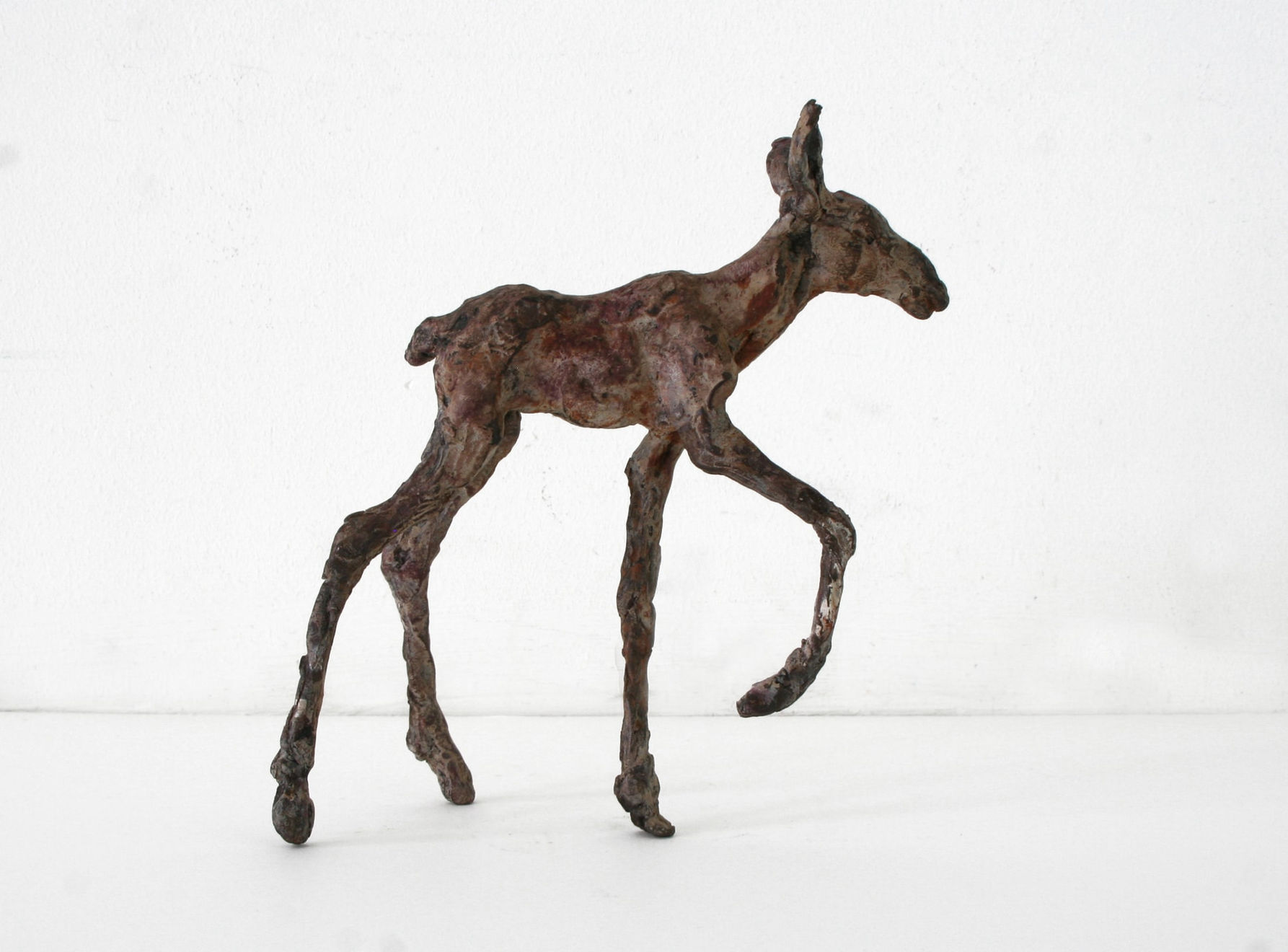 Ans Zondag - Moose Baby