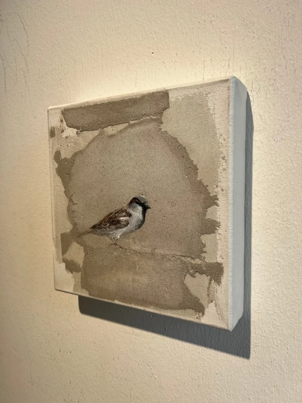 Jan Grotenbreg - Musje