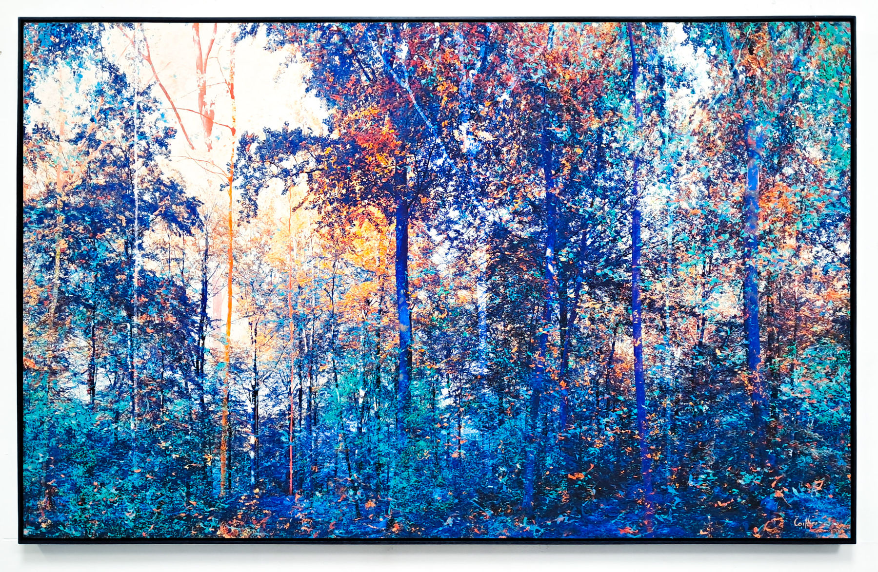 Martin Coiffier, La Cadillac