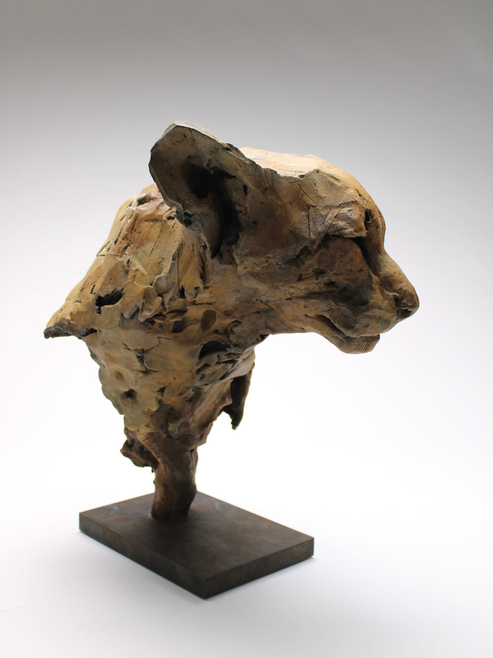 Nichola Theakston, Felid II