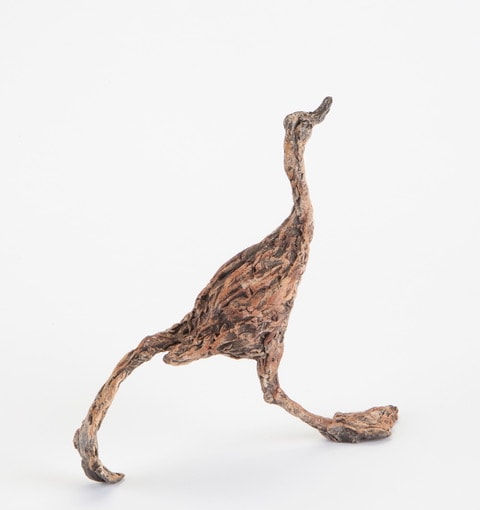 Ans Zondag, Eend Surprise