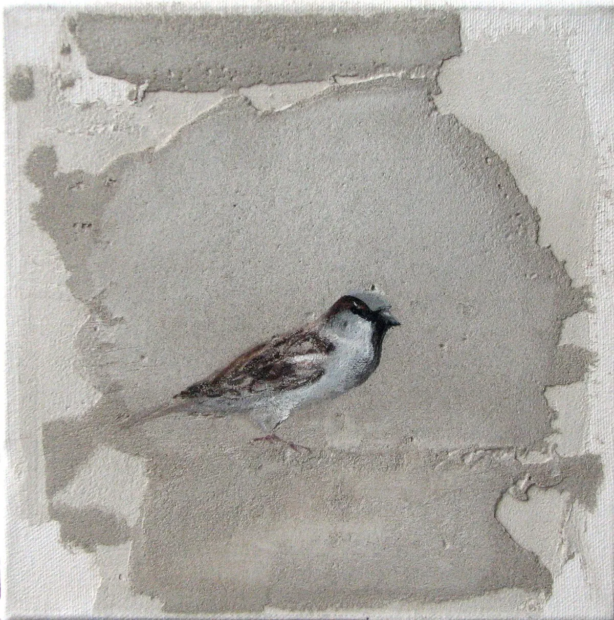 Jan Grotenbreg - Musje