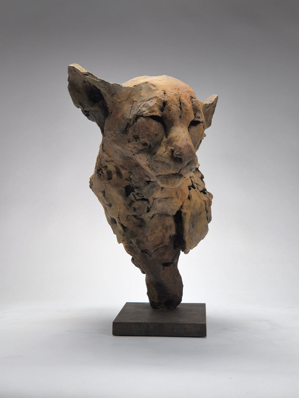 Nichola Theakston, Felid II