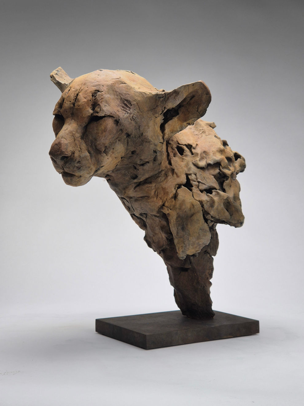 Nichola Theakston, Felid II