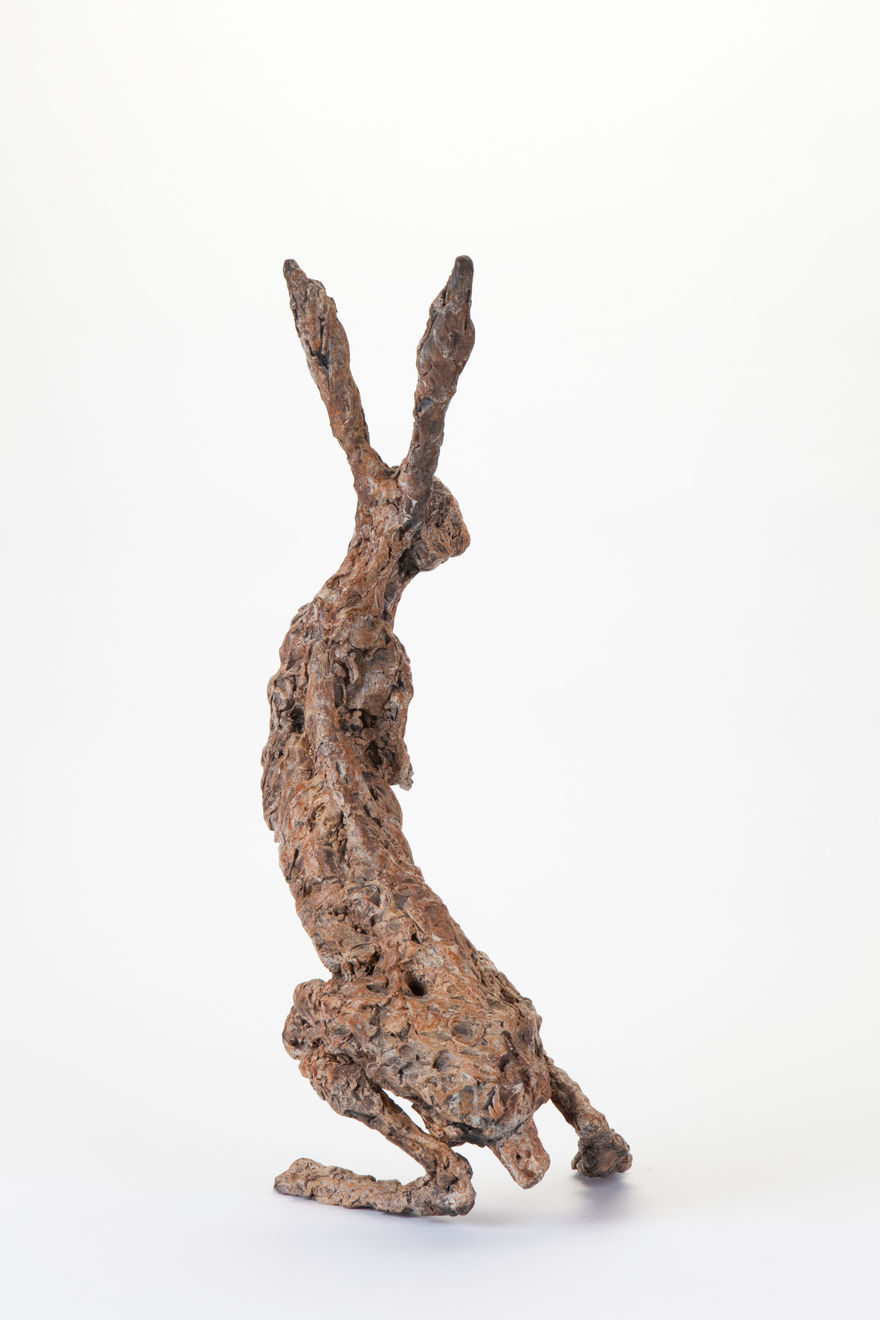 Ans Zondag - Haas Madame