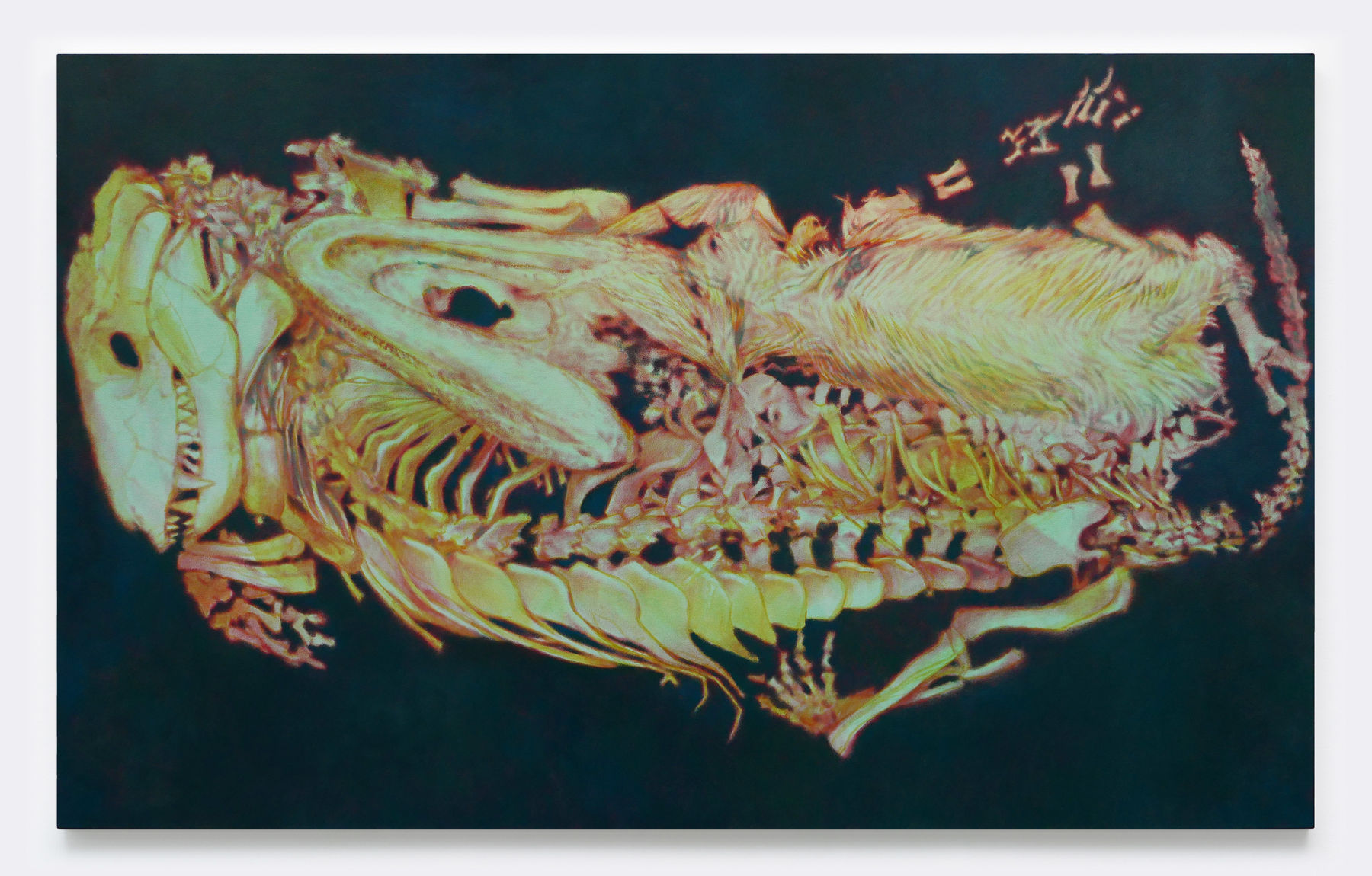 Sanghyuk Kim, Love decayed, 2025