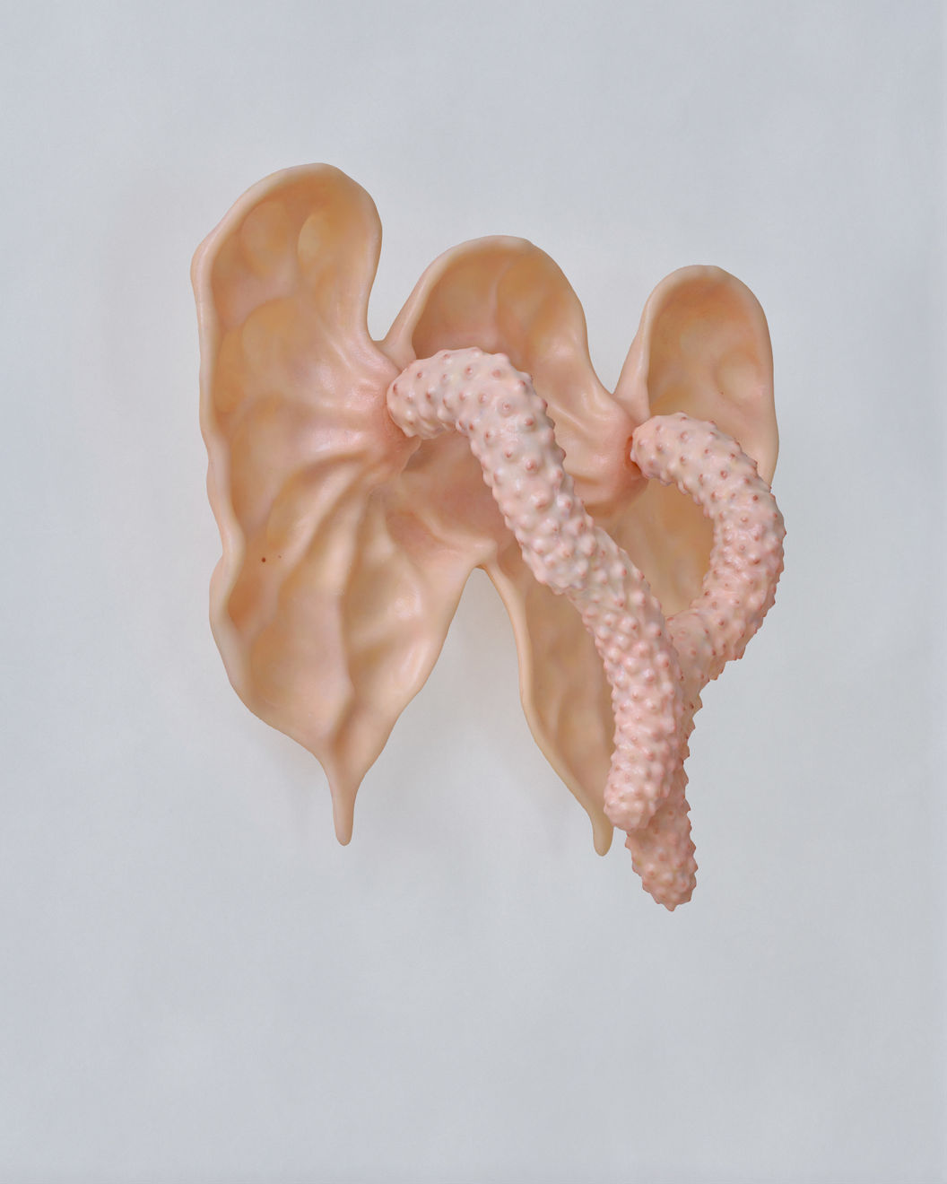 Dae Uk Kim, Koda, 2025