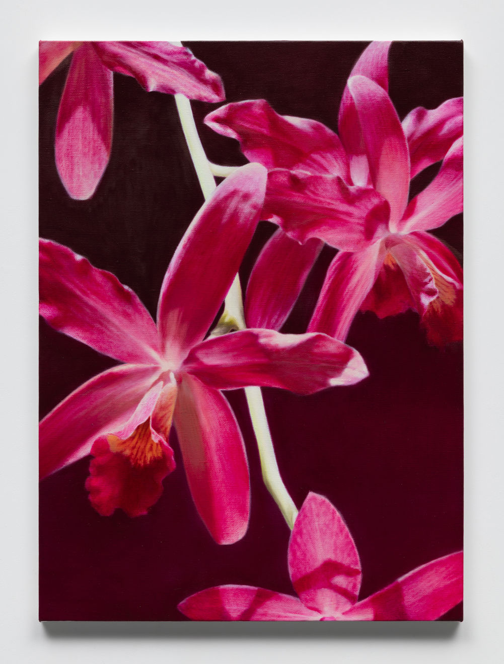 Daeyou Kim, Nurturing the nature: gardening, 2024