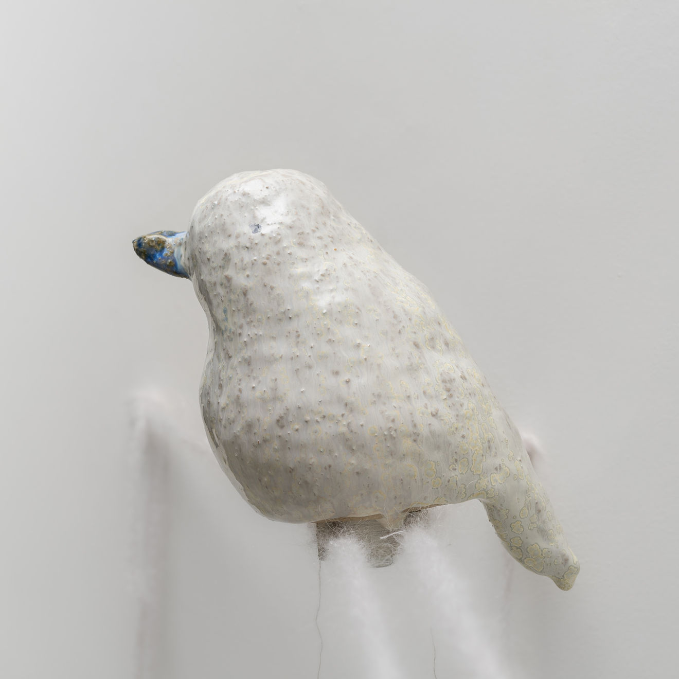 Sunwoo Jung, Bird 01, 2024