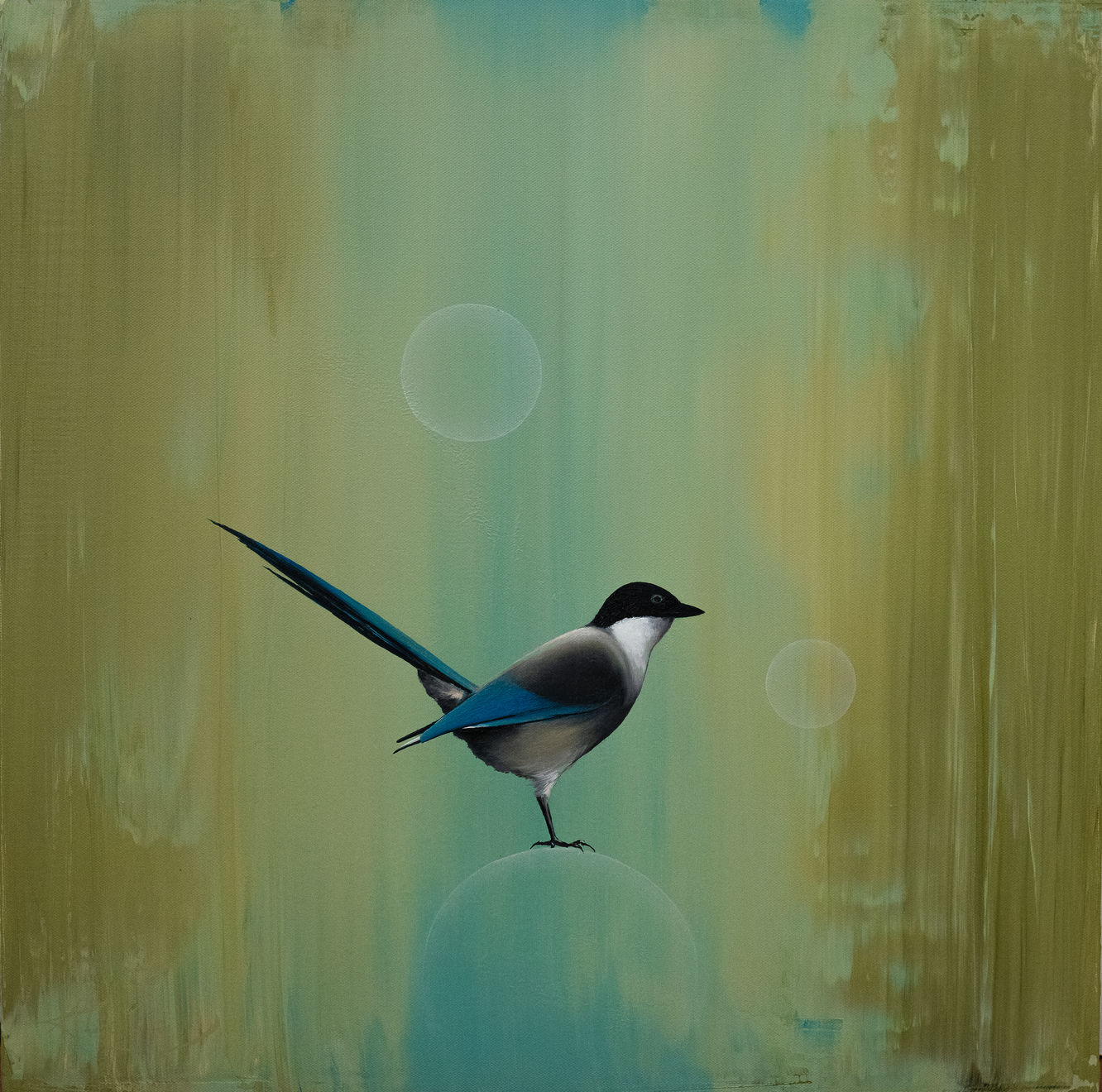 Thomas Easley, Rising Optimism