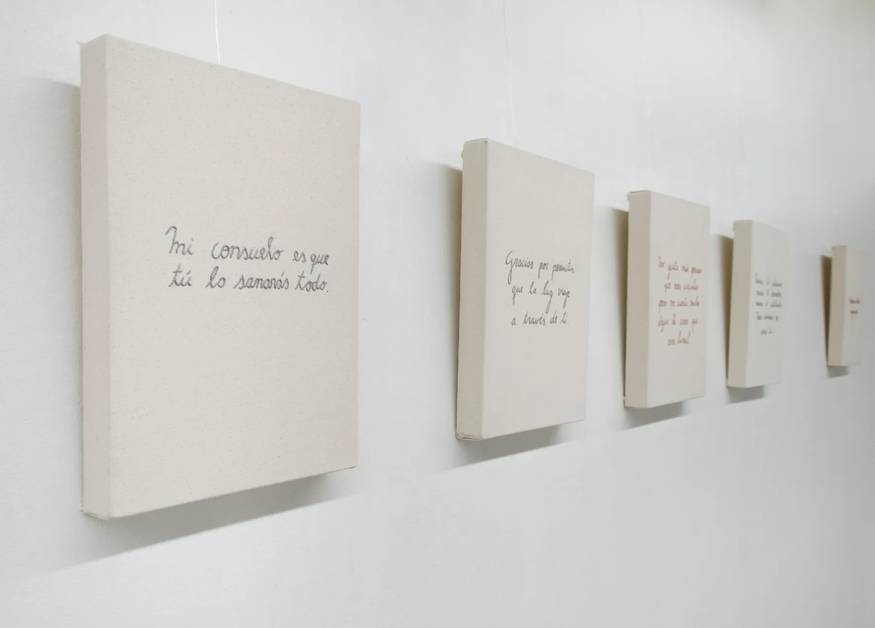 Catalina Torres, Nunca (Never), 2018