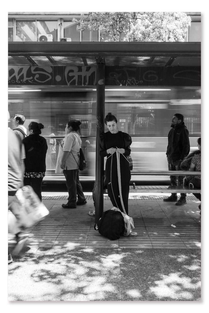 Fernanda Gutiérrez, Metamorfosis del valor III (Metamorphosis of Value III), 2024