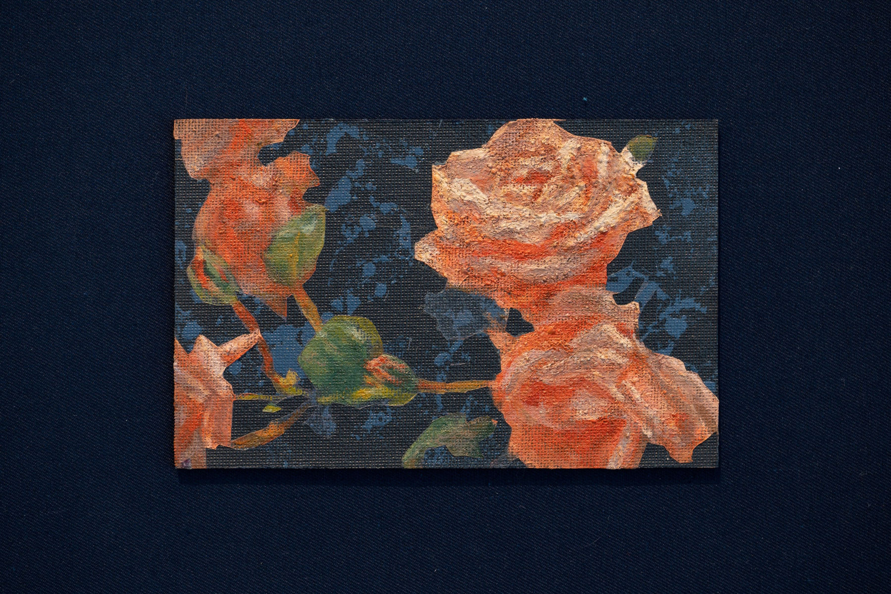 Paula Solís, Rosa, 2025