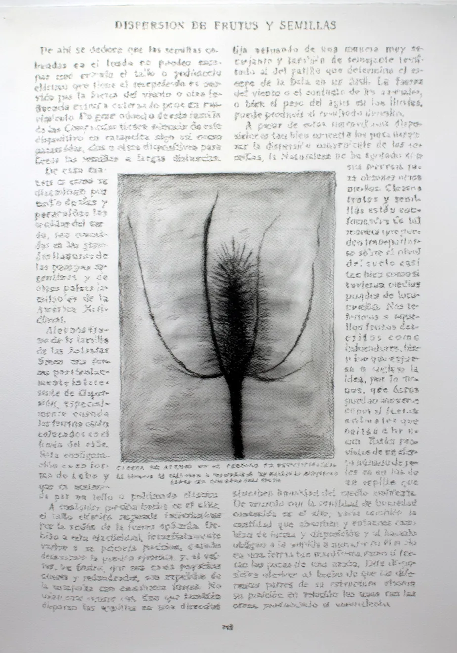 André Strahinja, Dispersión, 2018