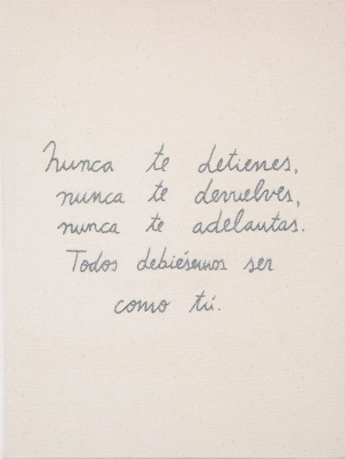 Catalina Torres, Nunca (Never), 2018