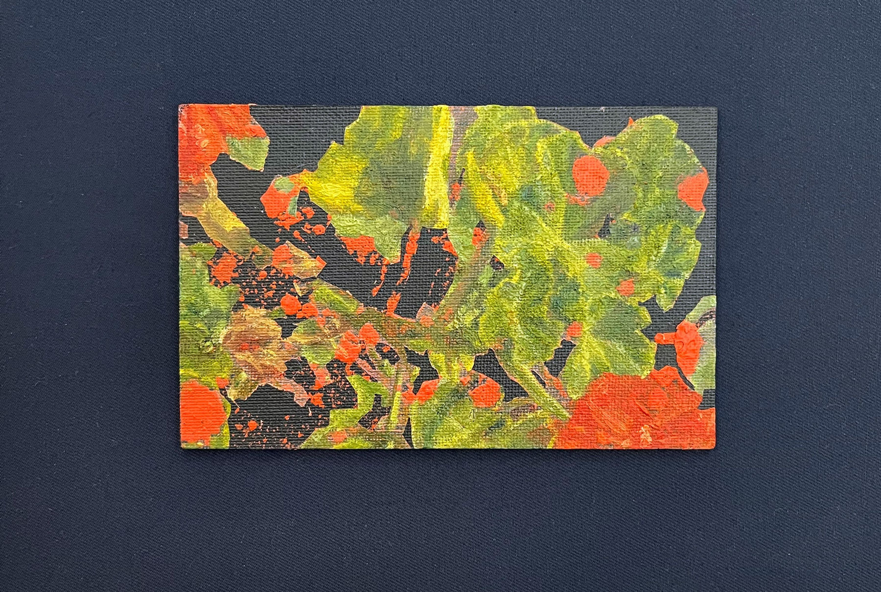 Paula Solís, Cardenal Rojo, 2025