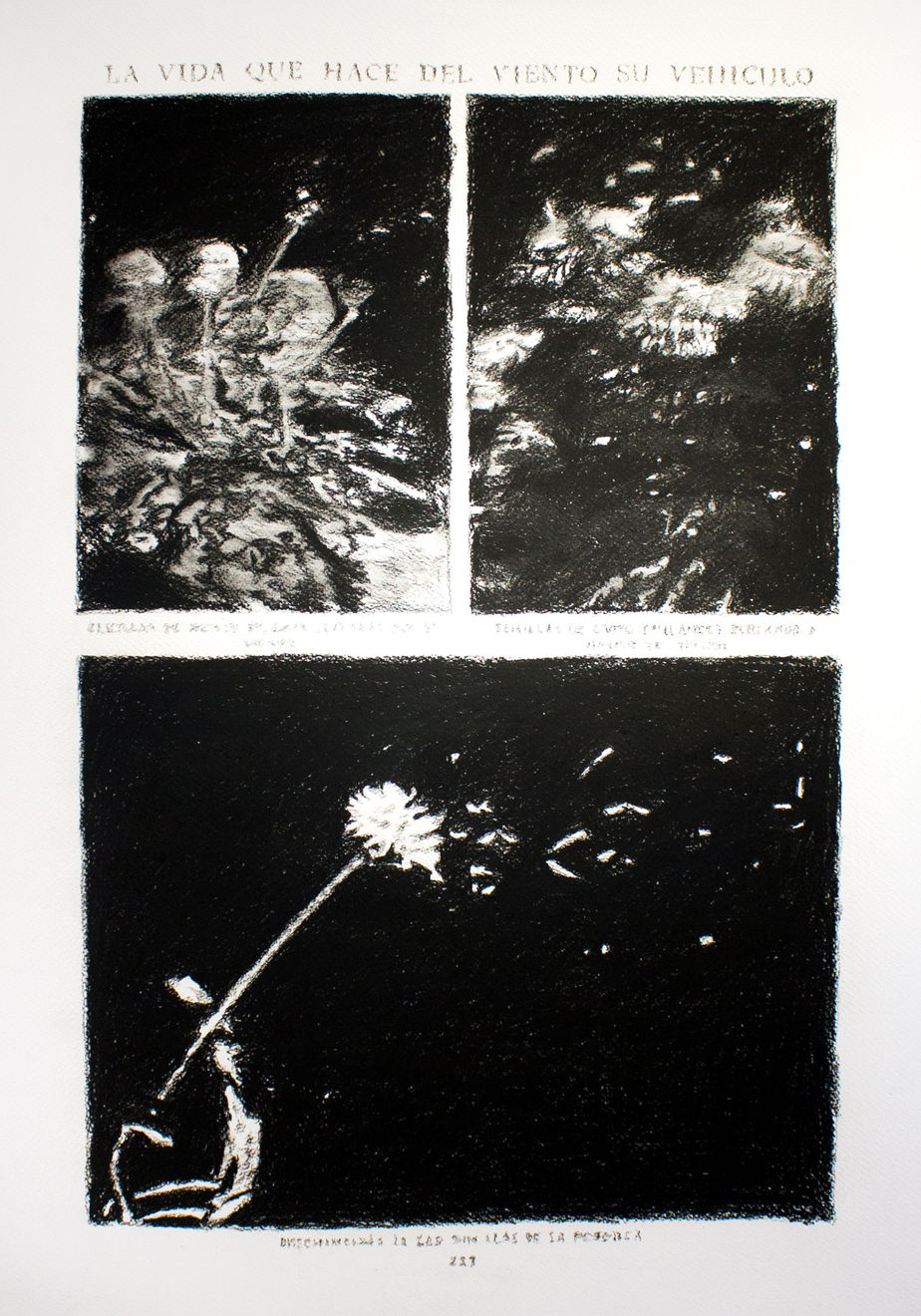 André Strahinja, La vida que hace del viento su vehículo, 2018