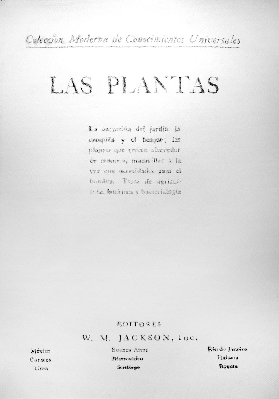 André Strahinja, Las Plantas, 2018