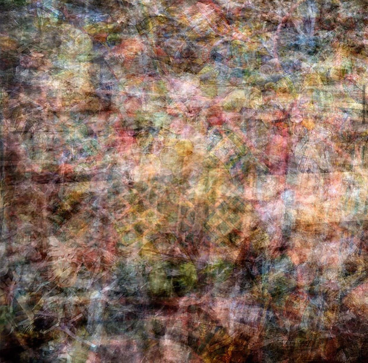 Alfonso Bonilla, Amores Prohibidos, 2019