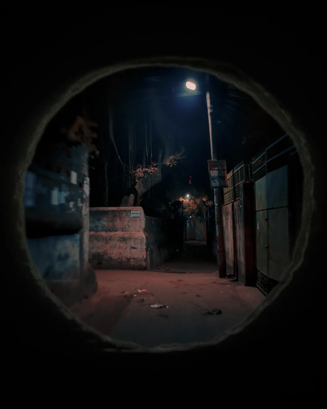 Soumya Sankar Bose, Case Study of Rabi: A life unraveling through his neighbour’s diary entries, 2026