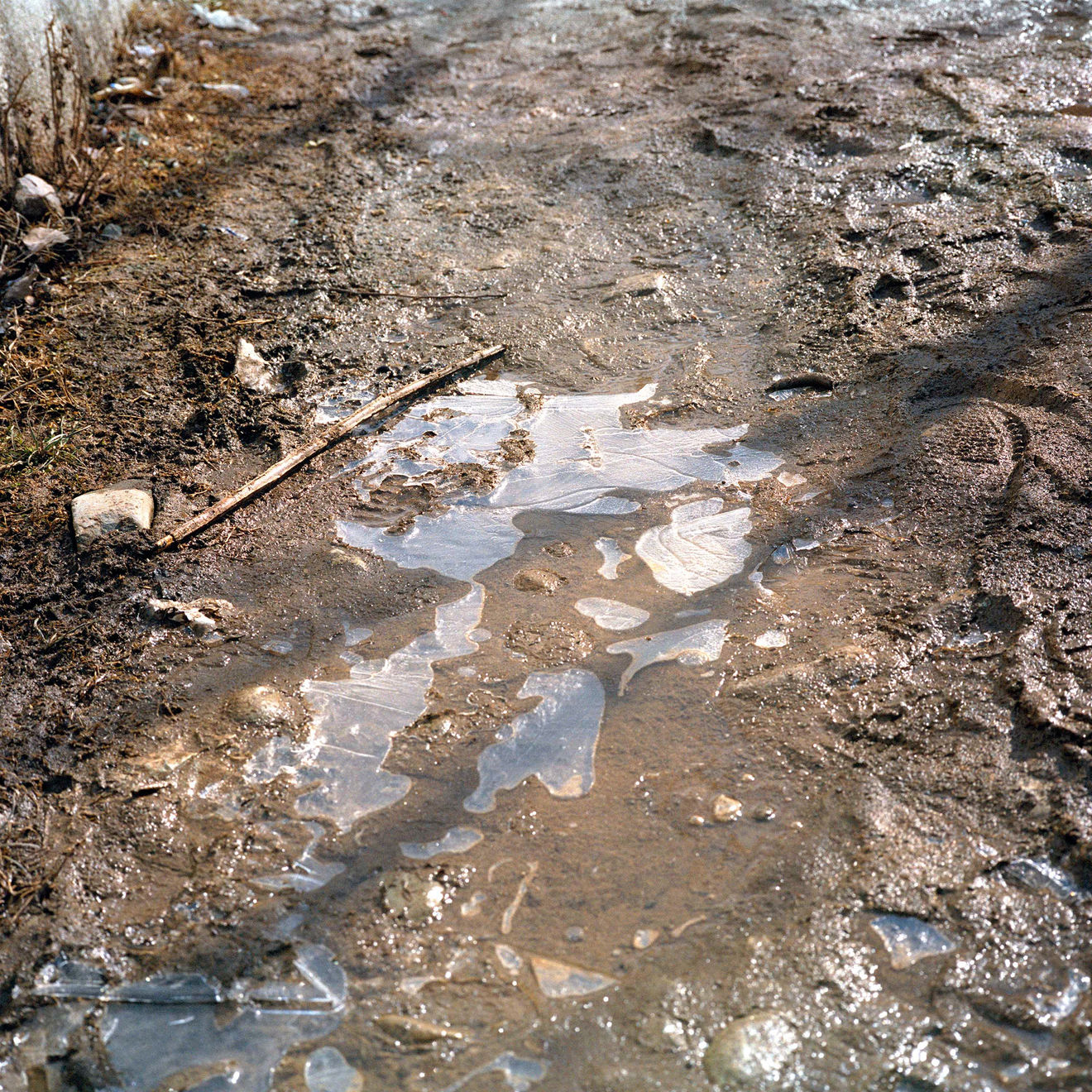 Sohrab Hura, Snow, 2015-2019