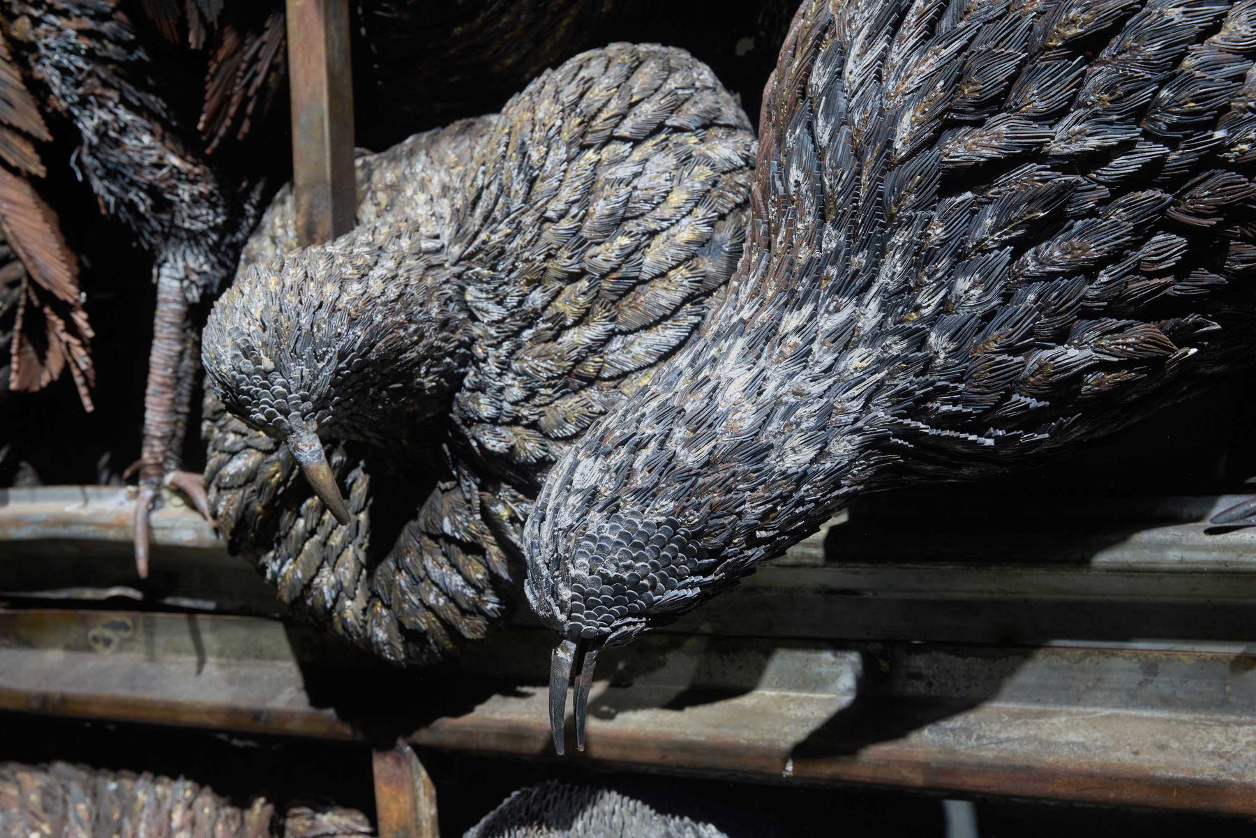 Sakshi Gupta, Spaces of being, 2023