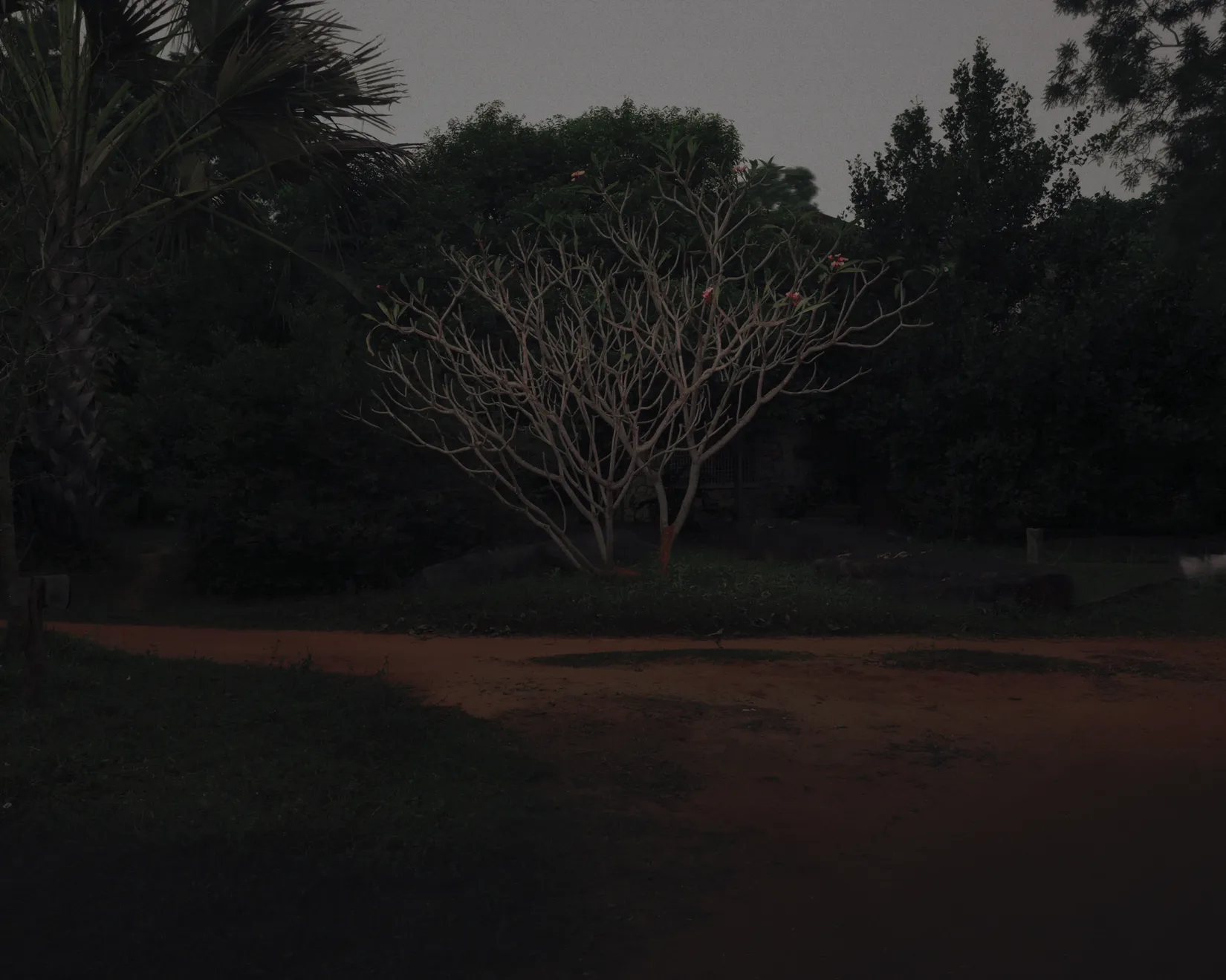 Soumya Sankar Bose, Auroville, 2026