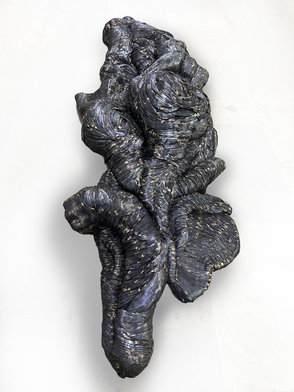 Sakshi Gupta, Untitled, 2024