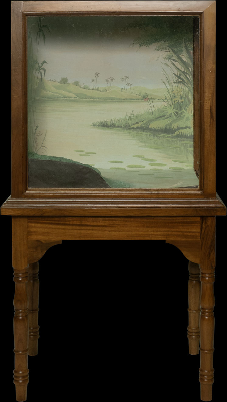 Sahil Naik, Tropical Landscape after Meru Hasan, 2023